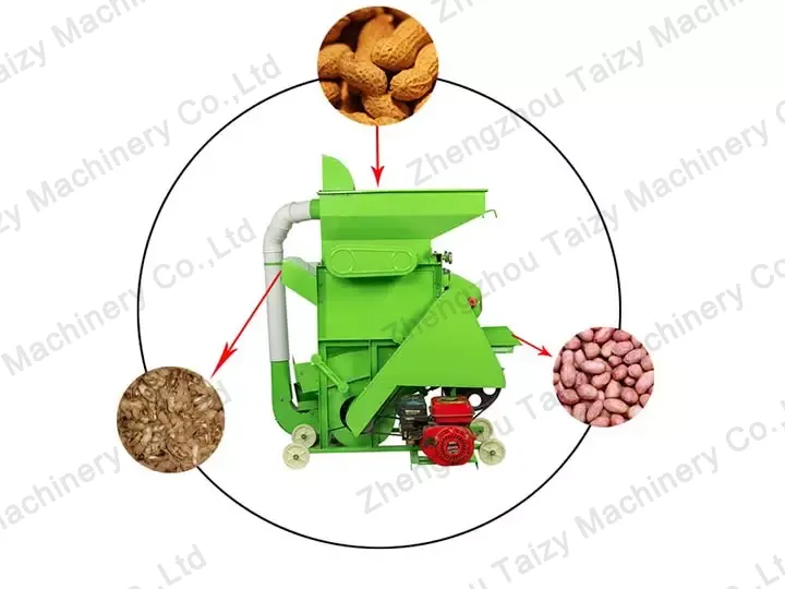 Groundnut Sheller | Peanut Shelling Machine
